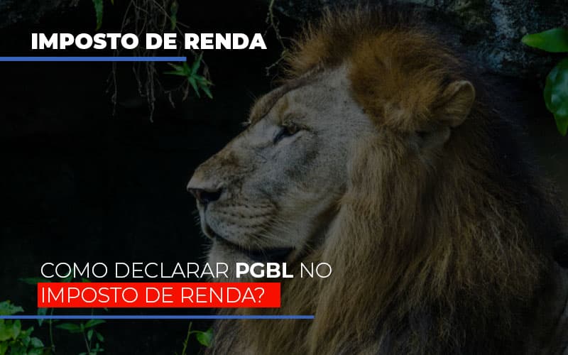 Ir2020:como Declarar Pgbl No Imposto De Renda Notícias E Artigos Contábeis Notícias E Artigos Contábeis - Adjutos Assessoria Contábil