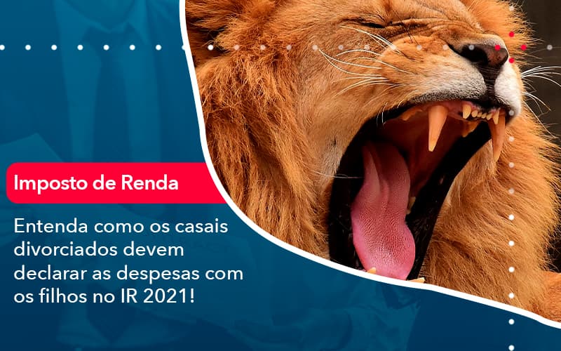 Entenda Como Os Casais Divorciados Devem Declarar As Despesas Com Os Filhos No Ir 2021 1 - Adjutos Assessoria Contábil