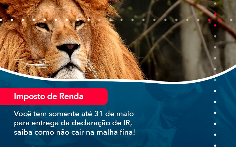 Voce Tem Somente Ate 31 De Maio Para Entrega Da Declaracao De Ir Saiba Como Nao Cair Na Malha Fina 1 - Adjutos Assessoria Contábil