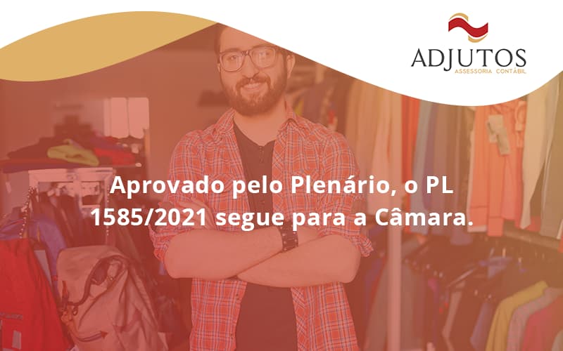 Aprovado Pleno Plenario O Pl 15852021 Segue Para A Camara Adjutos - Adjutos Assessoria Contábil